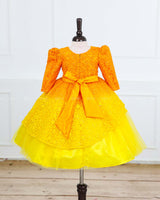 Yellow color gradient embroidery gown