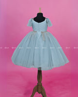 Pastel Powder Blue Gown with Intricate Handworks