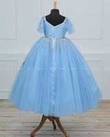 Baby Blue Gown with Intricate Handworks