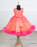 coral and fuchsia pink party wear gown with heavy and crafted yoke and petal detailing