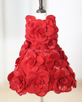 Blood Red Short Dress Highlighted with Hand Embellished Flower Petals.