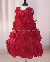 Blood Red Short Dress Highlighted with Hand Embellished Flower Petals.