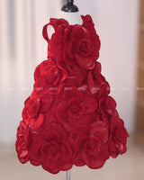 Blood Red Short Dress Highlighted with Hand Embellished Flower Petals.