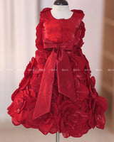 Blood Red Short Dress Highlighted with Hand Embellished Flower Petals.