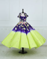 Dark purple and Green Panel Gown with Heavy Embellished Flowers