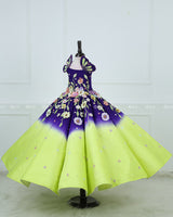 Dark purple and Green Panel Gown with Heavy Embellished Flowers