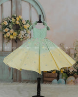 Sage Green and Macaron Yellow Panel Gown with Heavy Embellished Flowers