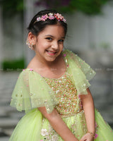 Light Lime Green Gown with Intricate Handworks