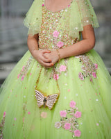 Light Lime Green Gown with Intricate Handworks
