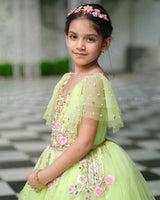 Light Lime Green Gown with Intricate Handworks