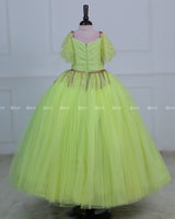 Light Lime Green Gown with Intricate Handworks