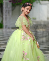 Light Lime Green Gown with Intricate Handworks