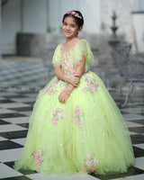 Light Lime Green Gown with Intricate Handworks