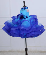 Baby Blue halter neck twirled couture gown with royal blue flowers embellishments.