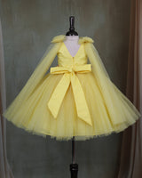 Dreamy Yellow Floral Embellished Princess Gown
