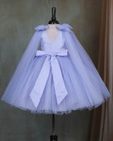 Ash Blue Princess Gown with Floral Embellishments(New)