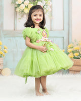Pea Green Fairy Tale Dress Highlighted with Flowers