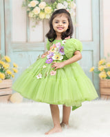 Pea Green Fairy Tale Dress Highlighted with Flowers
