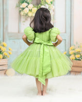 Pea Green Fairy Tale Dress Highlighted with Flowers