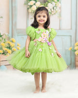 Pea Green Fairy Tale Dress Highlighted with Flowers