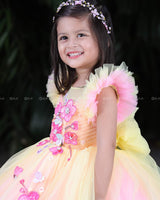 Double Colour Plated Yoke Adorned With Floral Embroidery