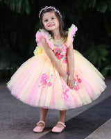 Double Colour Plated Yoke Adorned With Floral Embroidery