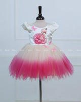 Cream And Pink Ombre Frock With 3D Swan Appliqué And Layered Tulle Skirt