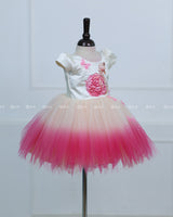 Cream And Pink Ombre Frock With 3D Swan Appliqué And Layered Tulle Skirt