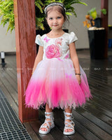 Cream And Pink Ombre Frock With 3D Swan Appliqué And Layered Tulle Skirt