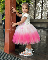 Cream And Pink Ombre Frock With 3D Swan Appliqué And Layered Tulle Skirt