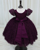 Plum Purple Pearl Embellished Feather Frock