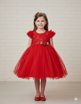 Red embroidery simple gown