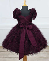 Plum Color Feather Trimmed Short Dress Highlighted With Handcrafted Butterflies.