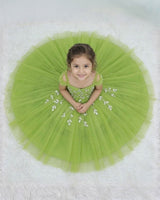 Pea Green Gown with Silver Leaf Detailing