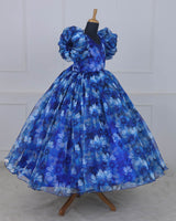 Navy Blue & Sky Blue Floral Printed Organza Gown