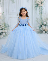 Net Cap Sleeve Detachable Back Trail Snow Theme Full Length Gown -Sky Blue(New)