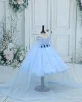 Organza Cap Sleeve Detachable Back Trail Snow Theme Full Length Gown -Sky Blue(New)