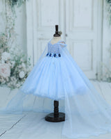 Organza Cap Sleeve Detachable Back Trail Snow Theme Full Length Gown -Sky Blue(New)