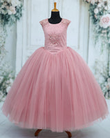 Net Sleeveless Bead, Stone & Sequin Yoke Full-Length Gown - Dusty Rose(New)