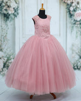 Net Sleeveless Bead, Stone & Sequin Yoke Full-Length Gown - Dusty Rose(New)