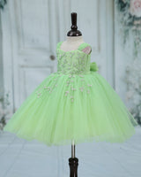Net Cap Sleeve Fit & Flare Silver Leaf Detailing Full Length Gown - Pastel Green(New)
