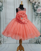 Organza Sleeveless A-line Floral Full Length Gown - Flamingo Pink(New)
