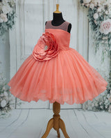 Organza Sleeveless A-line Floral Full Length Gown - Flamingo Pink(New)