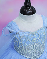 Organza Cap Sleeve Detachable Back Trail Snow Theme Full Length Gown - Blue(New)