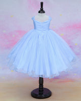 Organza Cap Sleeve Detachable Back Trail Snow Theme Full Length Gown - Blue(New)