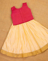 Rani Pink Brocade Top with Skirt