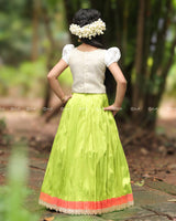 Lime Green Pleated Lehenga With Bird Print Top And Lace Hem