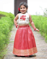 Floral Halter Top With Pearl Detailing, Paired With Red Brocade Skirt
