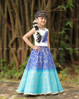 Peacock-Embroidered Top With Pearl Hem, Paired With Blue Ombré Brocade Skirt