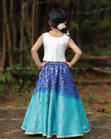 Peacock-Embroidered Top With Pearl Hem, Paired With Blue Ombré Brocade Skirt